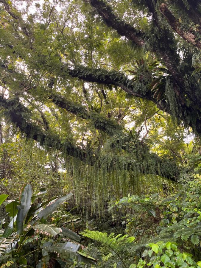 Naveria Heights Lodge Savusavu Buitenkant foto