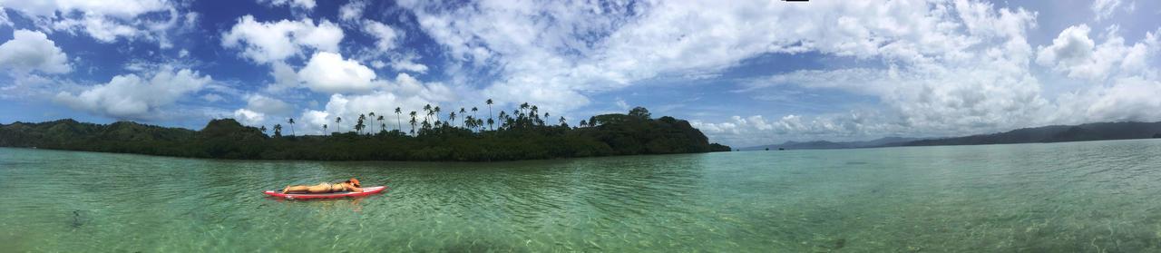 Naveria Heights Lodge Savusavu Buitenkant foto