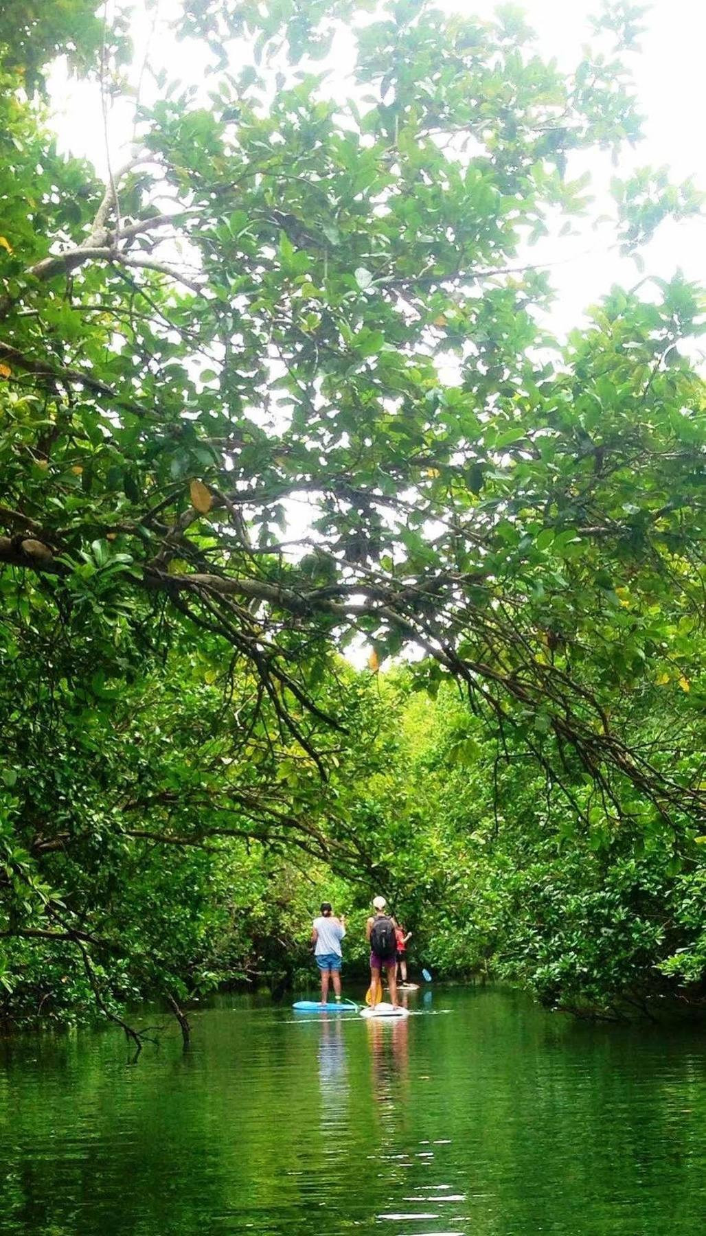 Naveria Heights Lodge Savusavu Buitenkant foto
